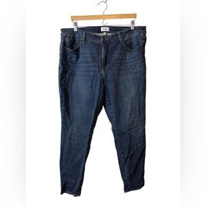 Pistola denim blue jeans 18W